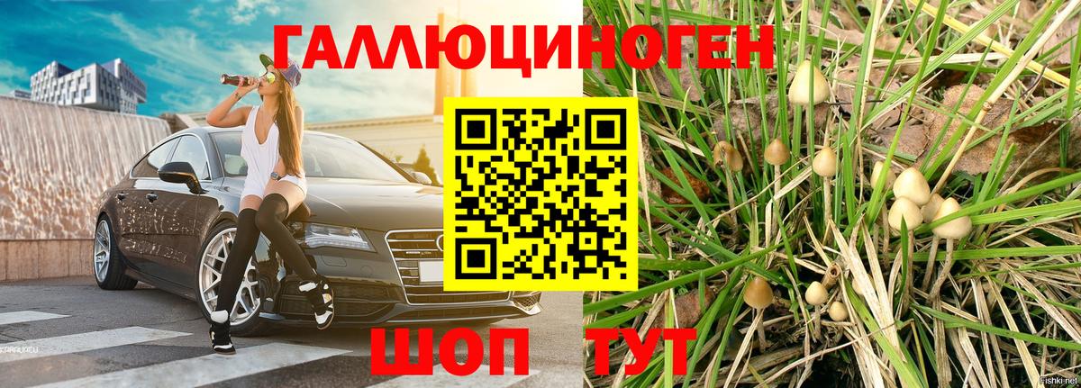 Донской  купить  сайты  Вход с VPN  Псилоцибиновые грибы мицелий 