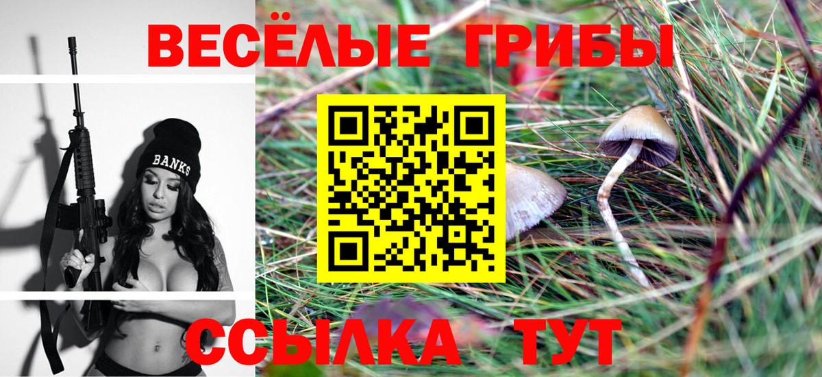 Галлюциногенные грибы мицелий Донской